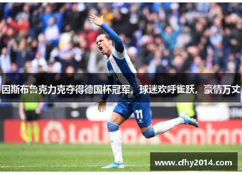 因斯布鲁克力克夺得德国杯冠军，球迷欢呼雀跃，豪情万丈